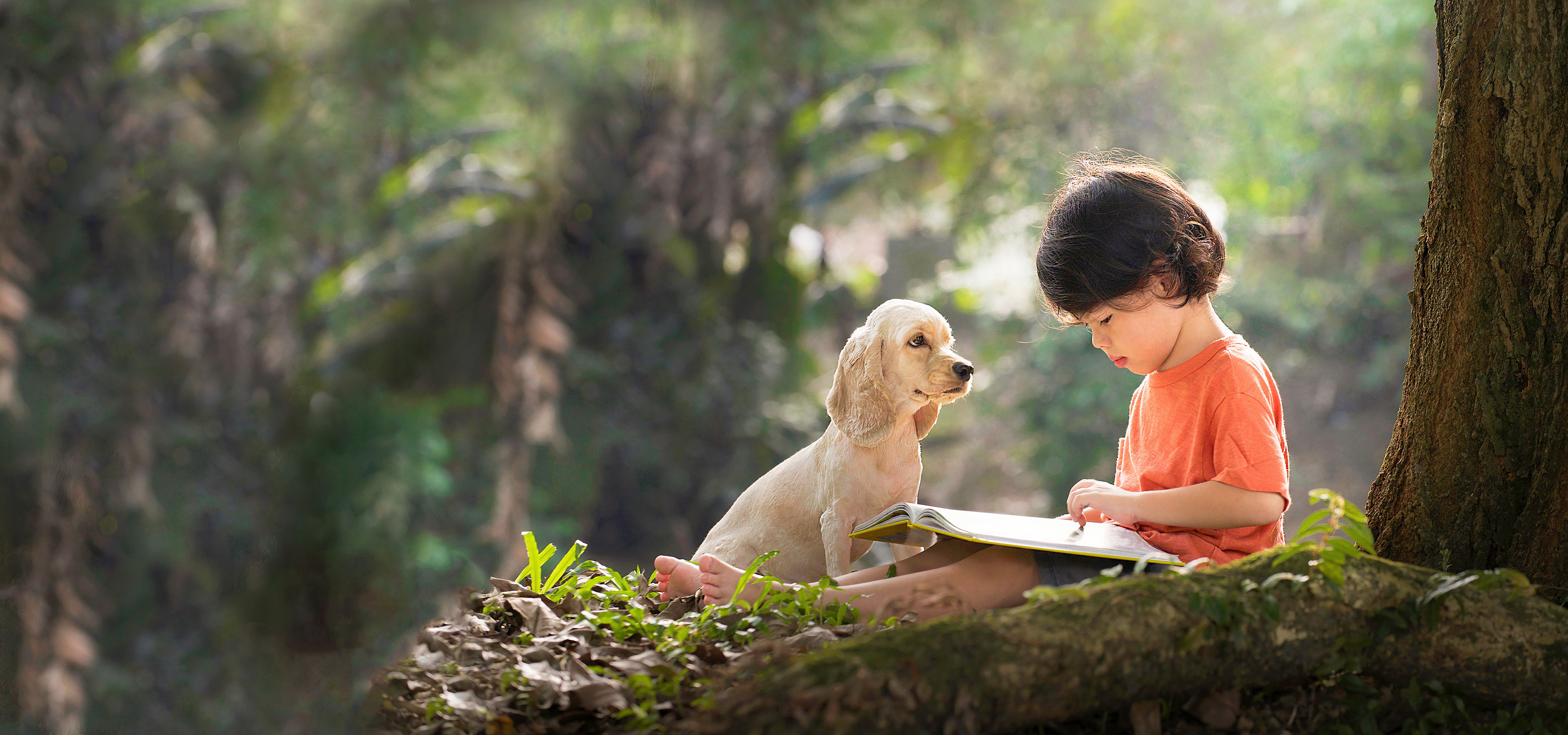 Quy mô thị trường bao bì giấy Việt Nam ước tính đạt 2,6 tỷ USD vào năm 2024